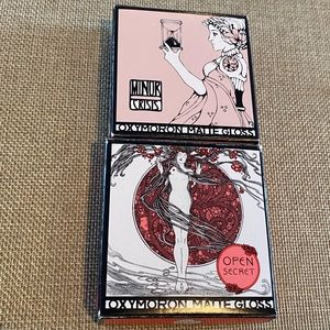 Lipstick queen oxymoron MATTE gloss NWT.